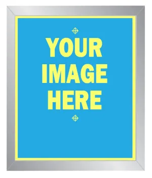 20 x 24 Pre-Burned 305 Mesh Screen