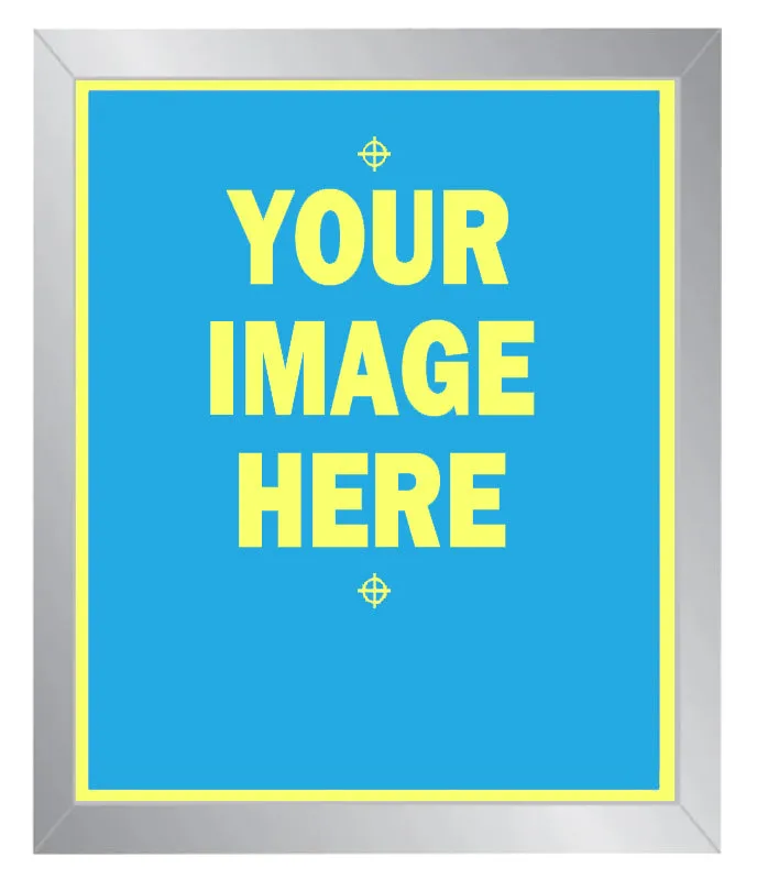 20 x 24 Pre-Burned 305 Mesh Screen