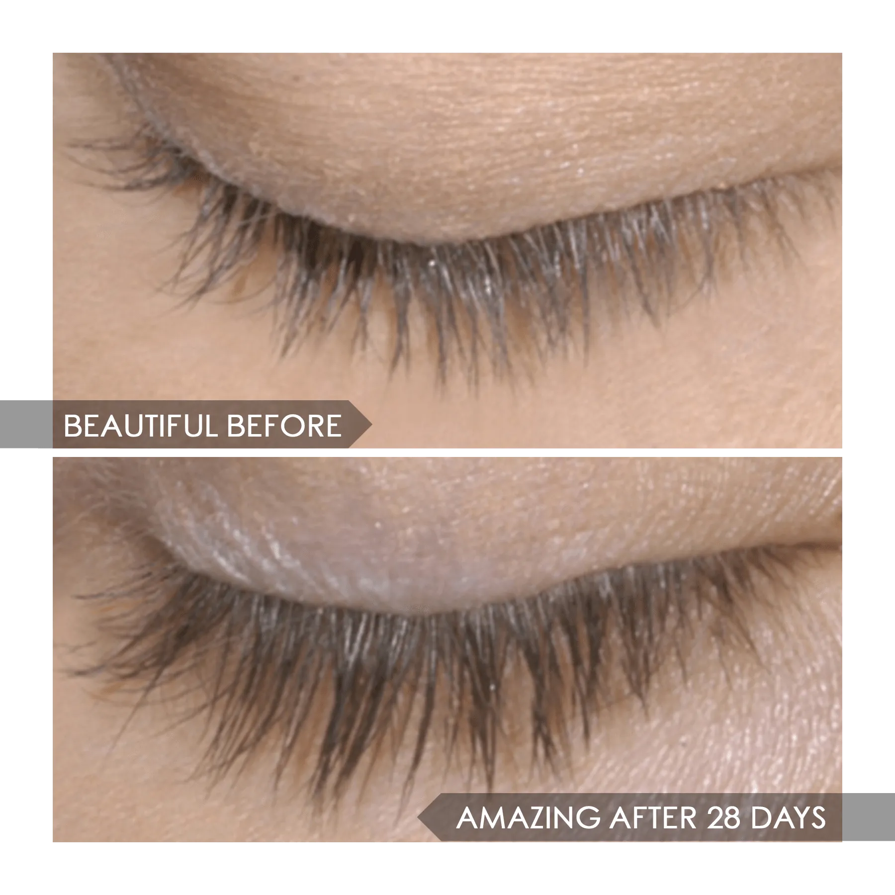 4D Eyelash & Brow Growth Serum MINI- Stronger & Faster Results- Eyebrow   With 24k Gold