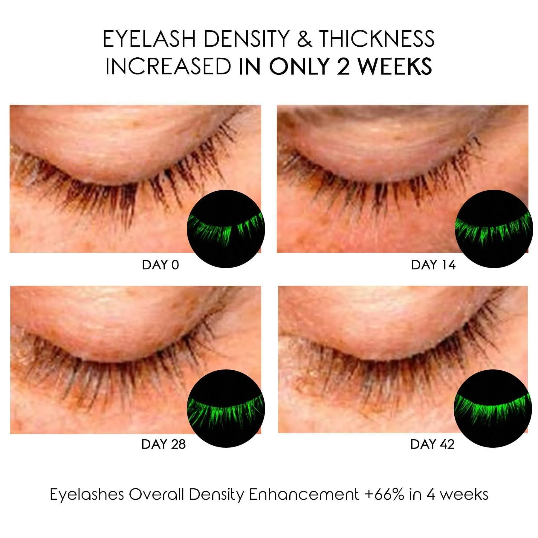 4D Eyelash & Brow Growth Serum MINI- Stronger & Faster Results- Eyebrow   With 24k Gold