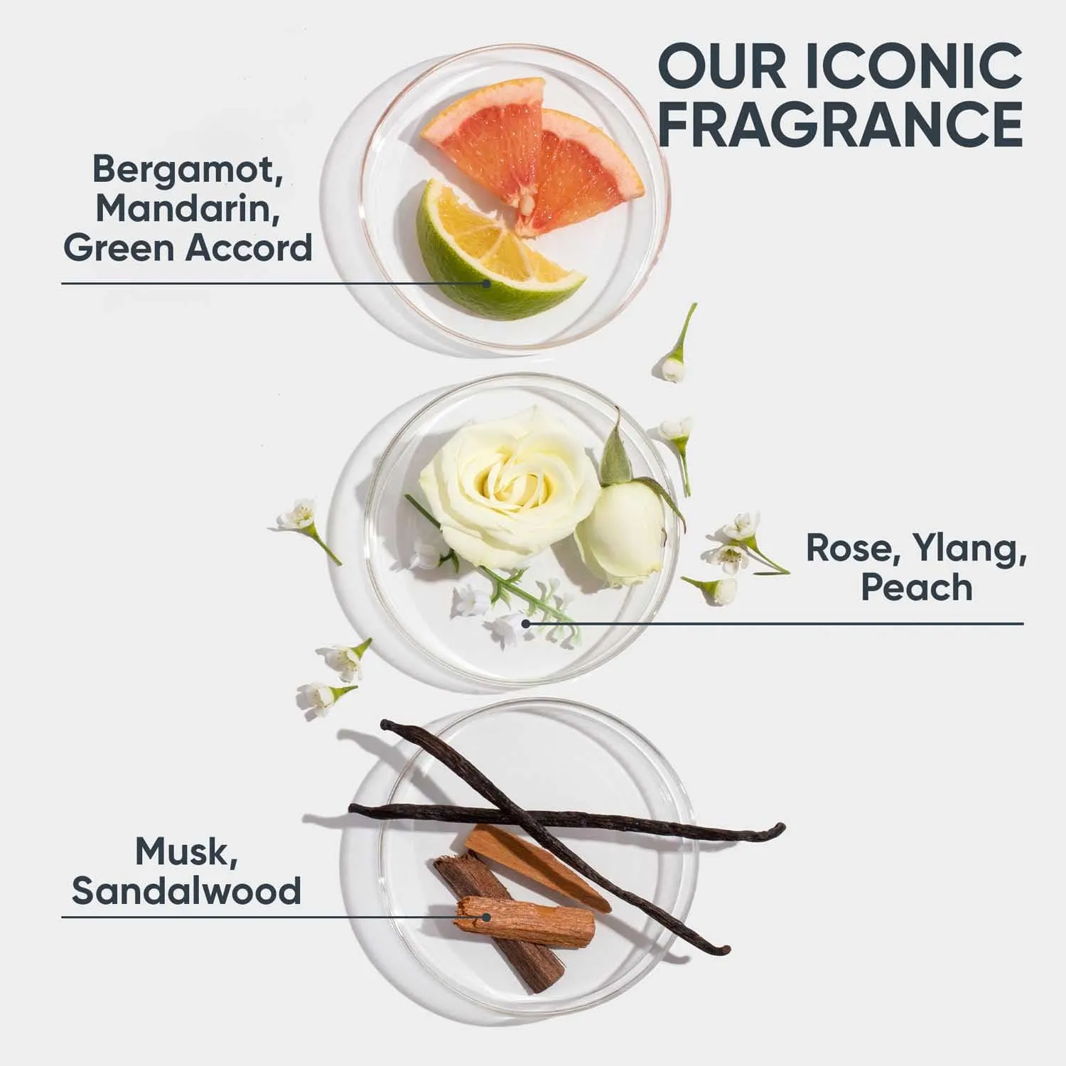 Biolage Hair Serum for Frizzy Hair With Avocado & Grape Seed Oil