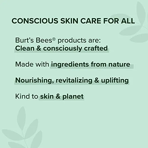 Burt's Bees Burts Bees Hemp Body Lotion 6 Oz