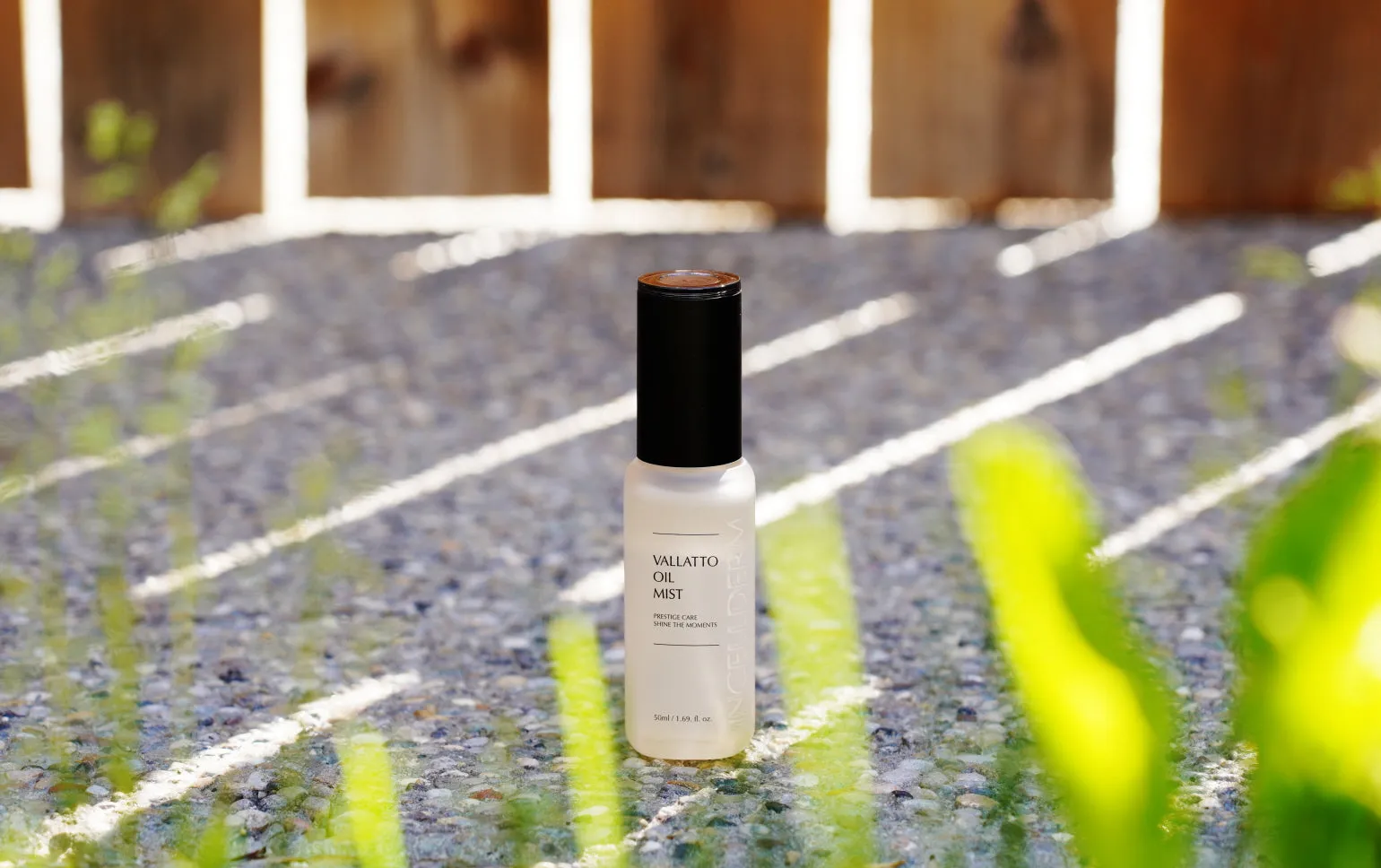 INCELLDERM Vieton Oil Mist
