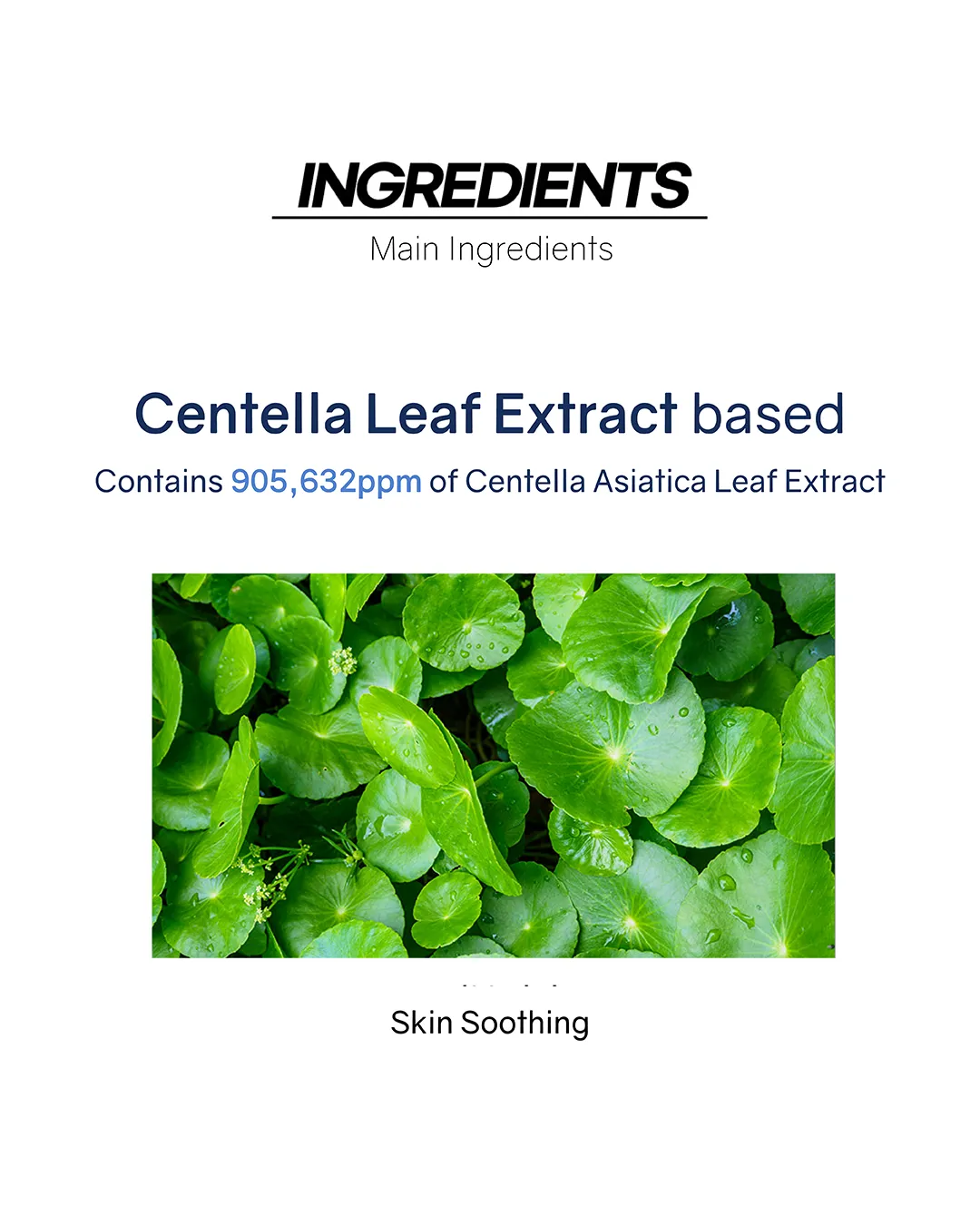 Lavien Centella Creaming Toner