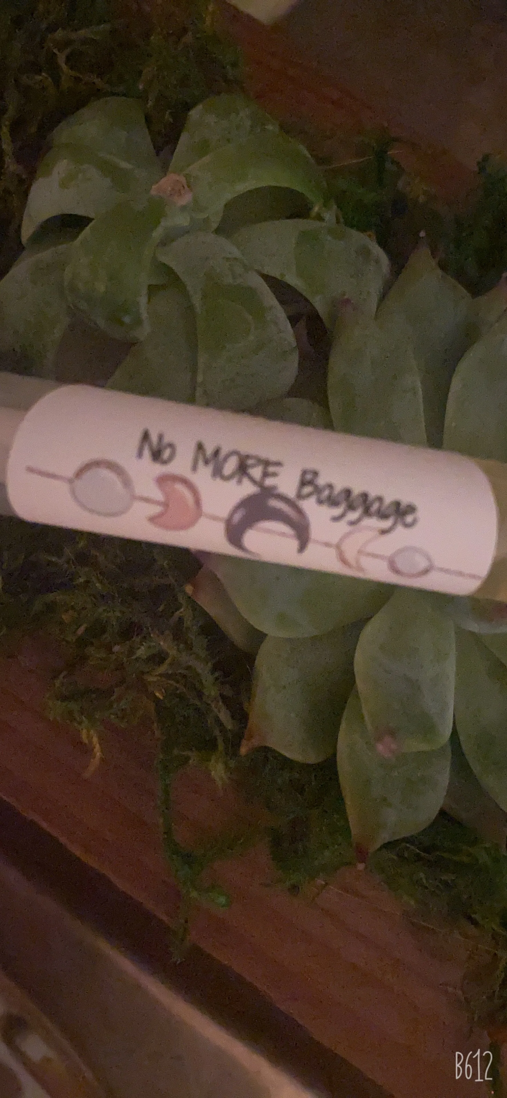 No more Baggage Night-time Serum