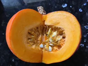 Pumpkin Soap Bar  {Unscented}