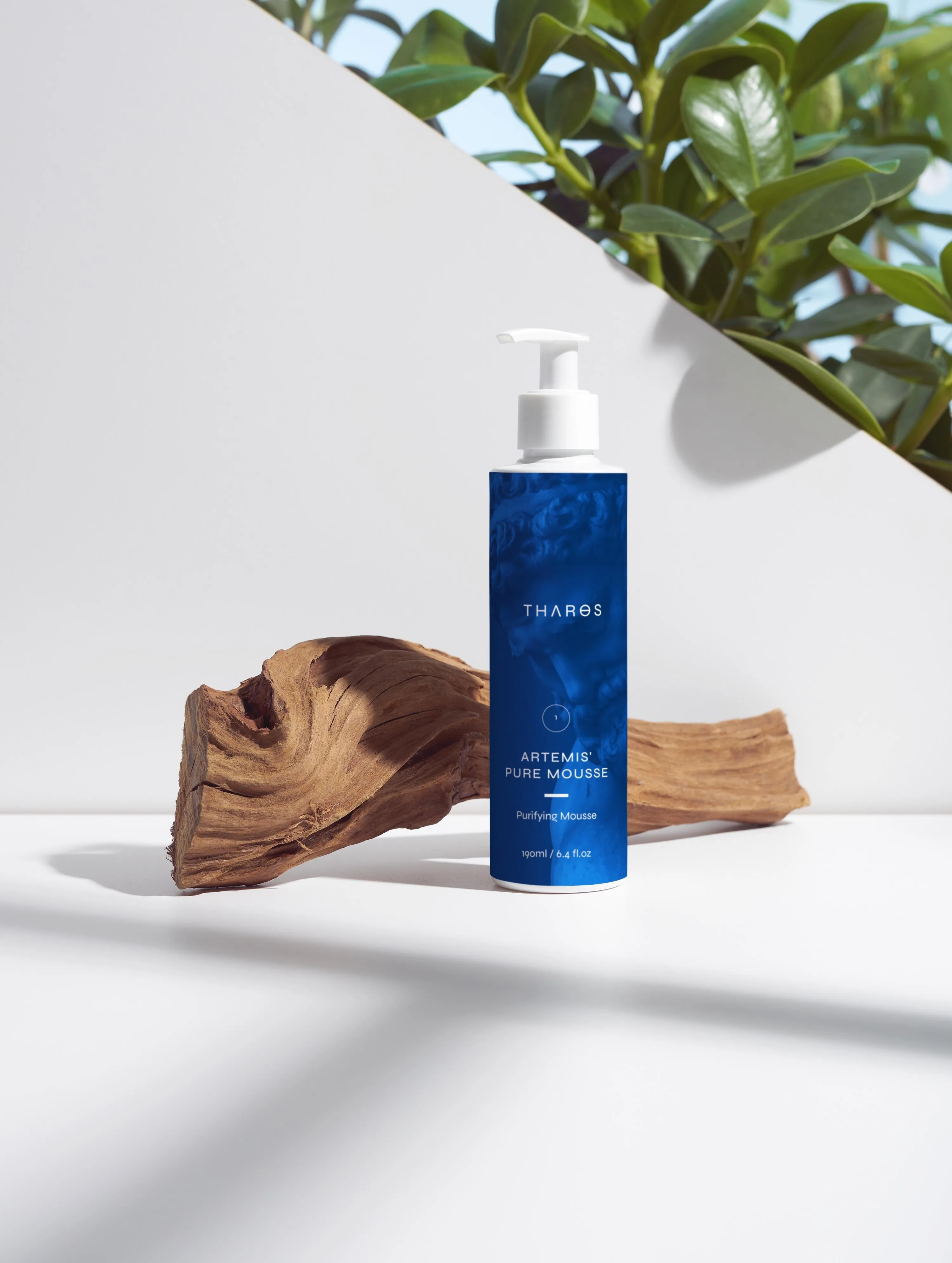 Purifying Mousse