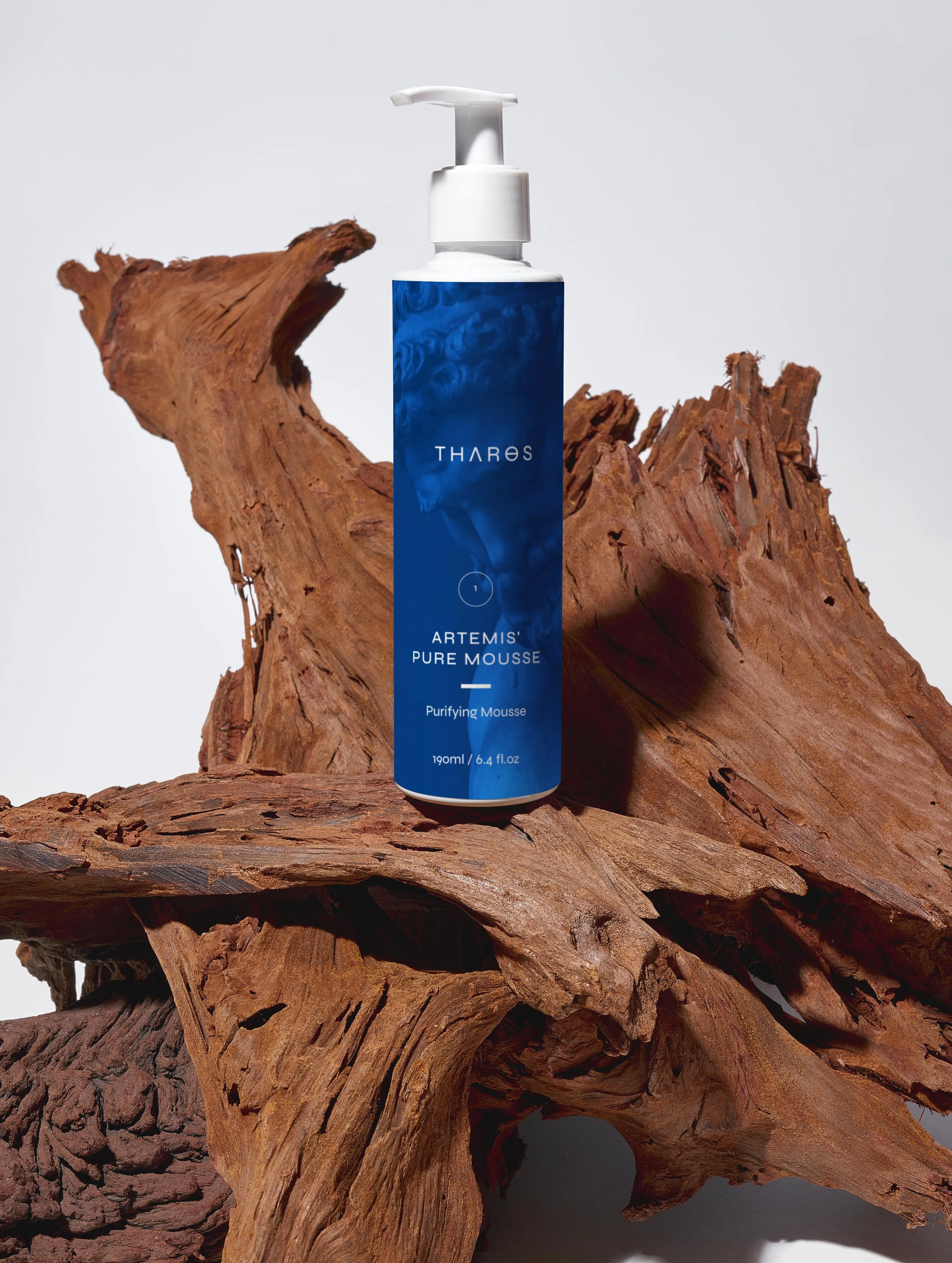 Purifying Mousse