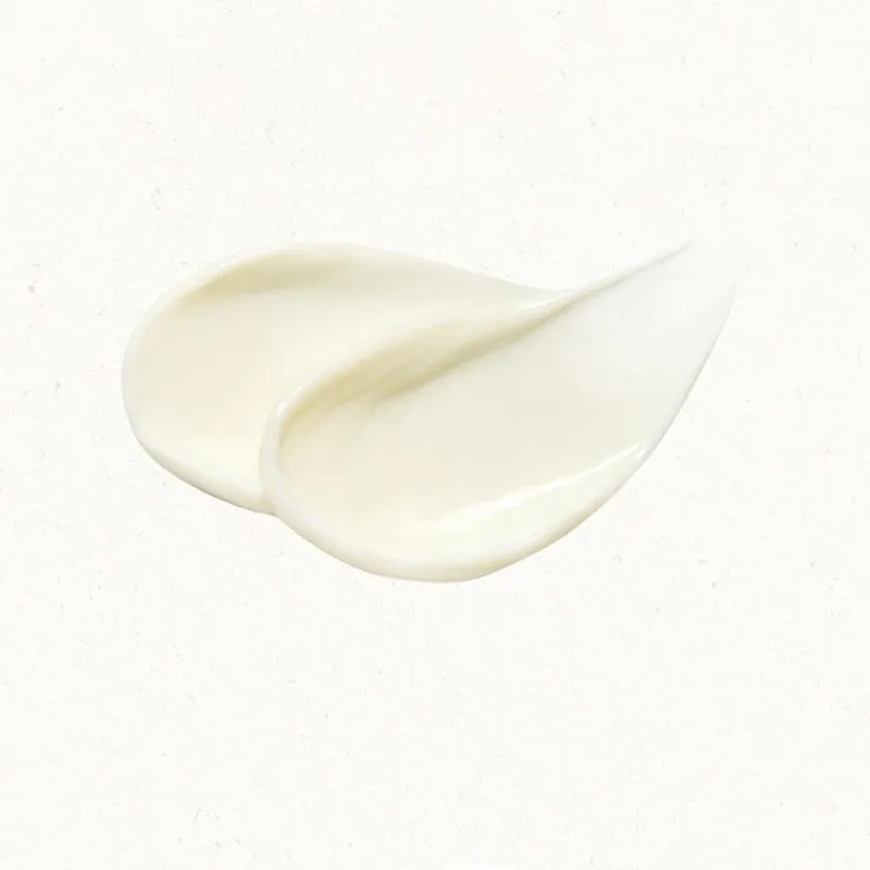 [SKINFOOD] Black Cherry Retinol Daily Cream 70ml