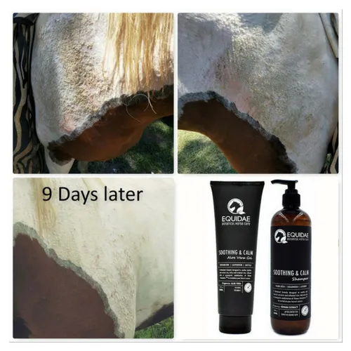 SOOTHING AND CALM Shampoo/Conditioner Pack