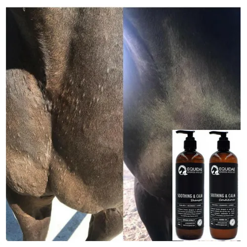 SOOTHING AND CALM Shampoo/Conditioner Pack