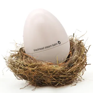TONYMOLY Egg Pore Black Head Steam Balm - 30g | Face ¦  Korean Skin Care
